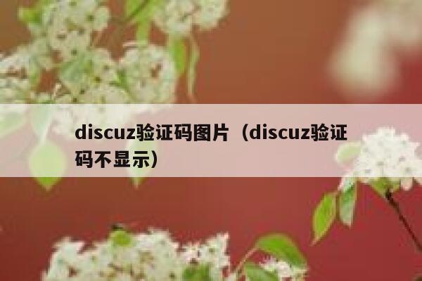 Discuz验证码图片，Discuz验证码不显示