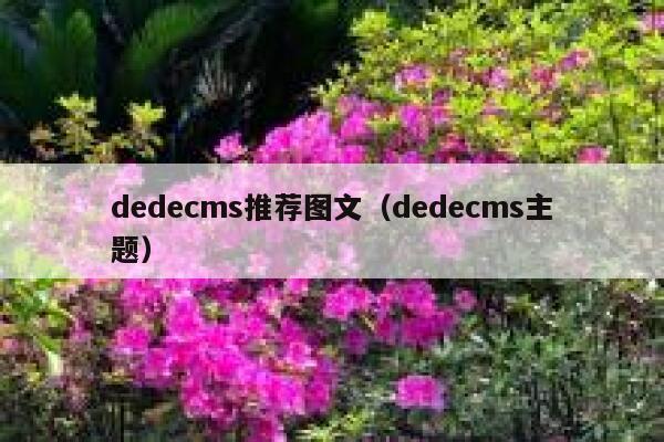 dedecms推荐图文，dedecms主题