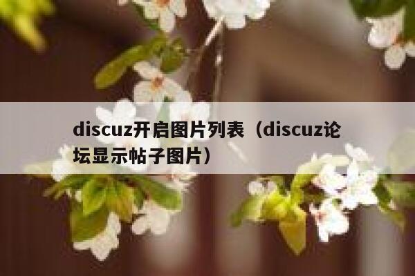 Discuz开启图片列表，Discuz论坛显示帖子图片