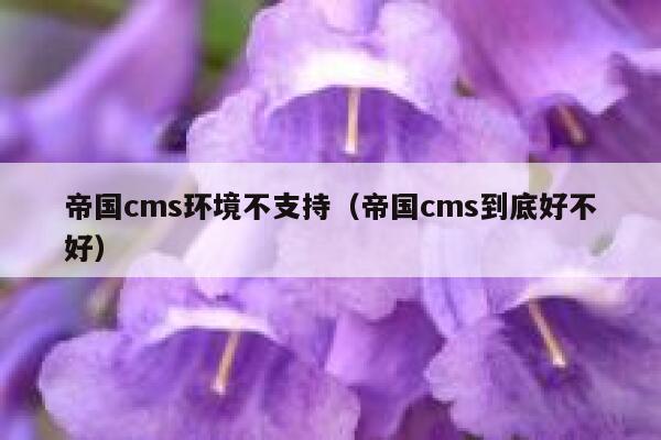 帝国cms环境不支持，帝国cms到底好不好