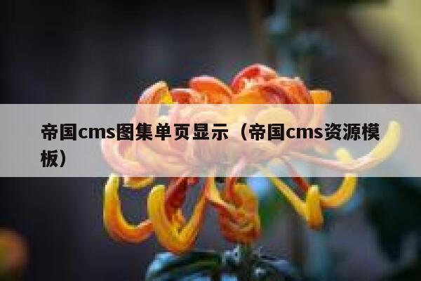 帝国cms图集单页显示，帝国cms资源模板