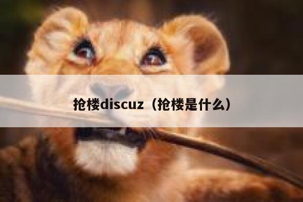 抢楼discuz，抢楼是什么
