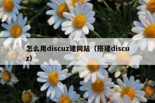 怎么用Discuz建网站，搭建Discuz