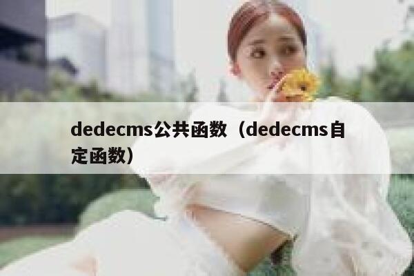 dedecms公共函数，dedecms自定函数