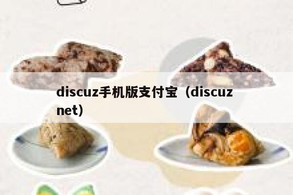 discuz手机版支付宝，discuz net