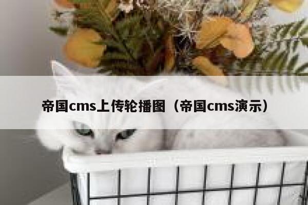 帝国CMS上传轮播图，帝国CMS演示