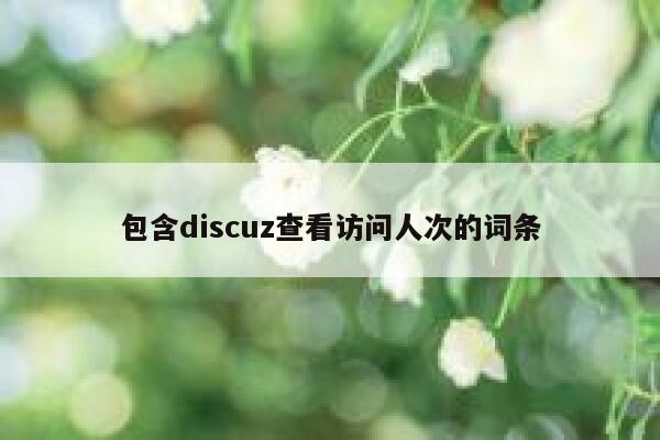 包含Discuz查看访问人次的词条