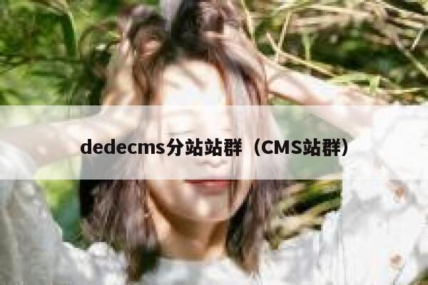 织梦dedecms分站站群，CMS站群