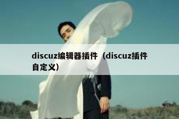 Discuz编辑器插件，Discuz插件自定义