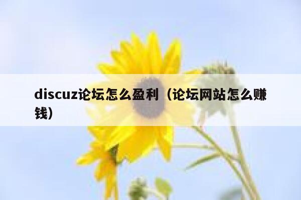 Discuz论坛怎么盈利，论坛网站怎么赚钱