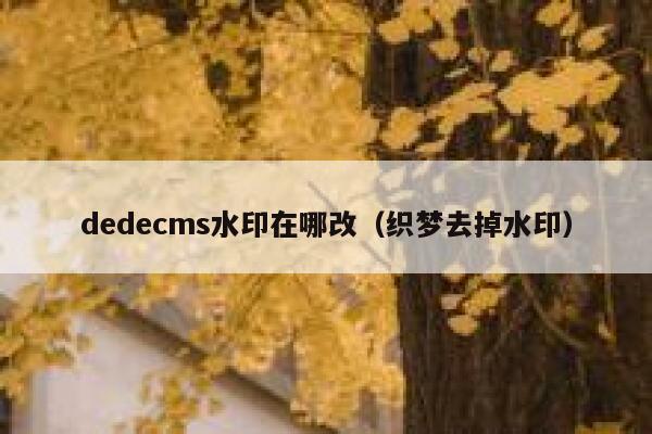 dedecms水印在哪改，织梦去掉水印