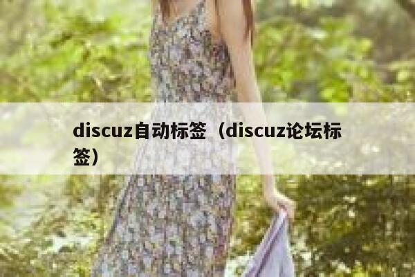 discuz自动标签,discuz论坛标签 discuz自动标签,discuz论坛标签