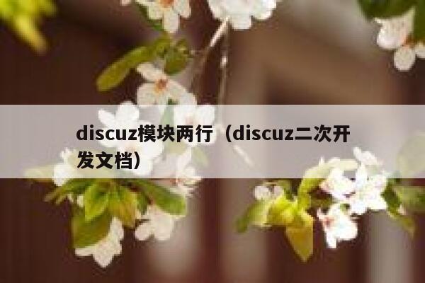 Discuz模块两行，Discuz二次开发文档
