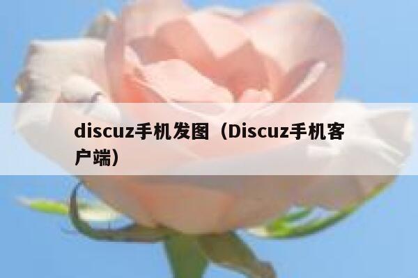 Discuz手机发图，Discuz手机客户端