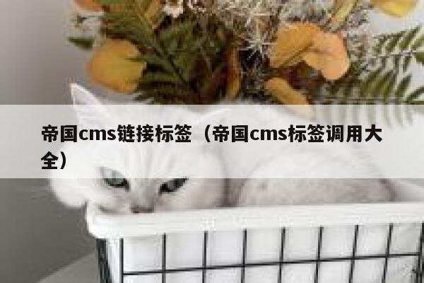 帝国cms链接标签，帝国cms标签调用大全