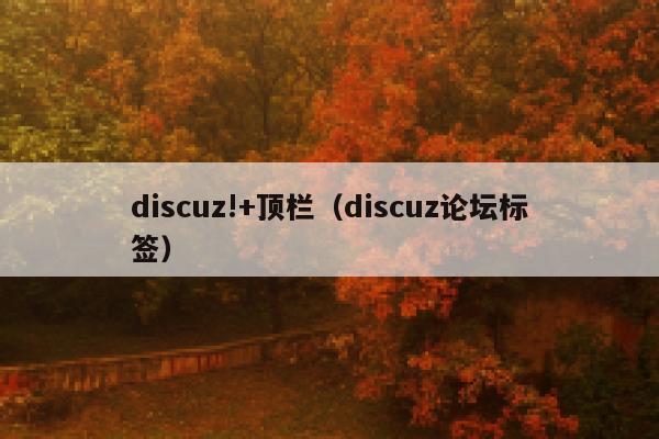 discuz!+顶栏，discuz论坛标签