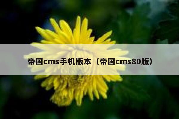 帝国CMS手机版本，帝国CMS80版