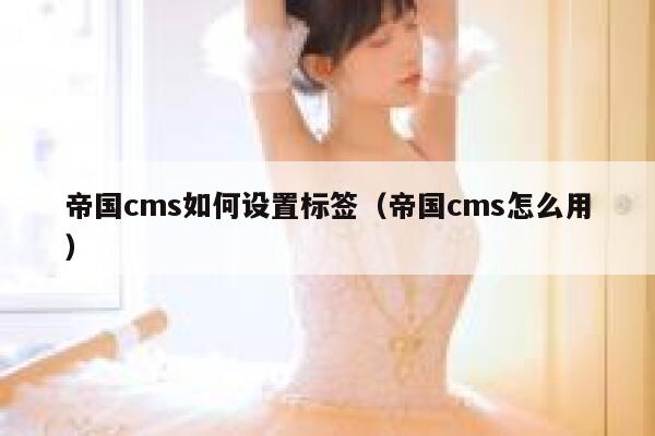 帝国CMS如何设置标签，帝国CMS怎么用