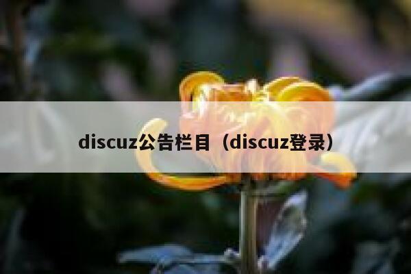 Discuz公告栏目，Discuz登录