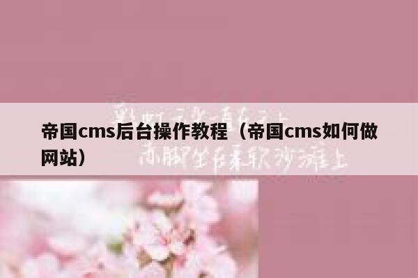 帝国CMS后台操作教程，帝国CMS如何做网站