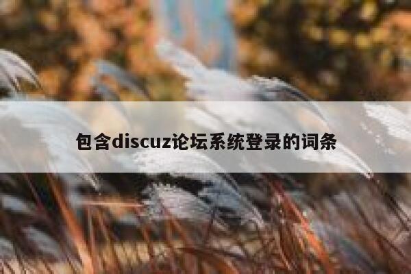 包含Discuz论坛系统登录的词条