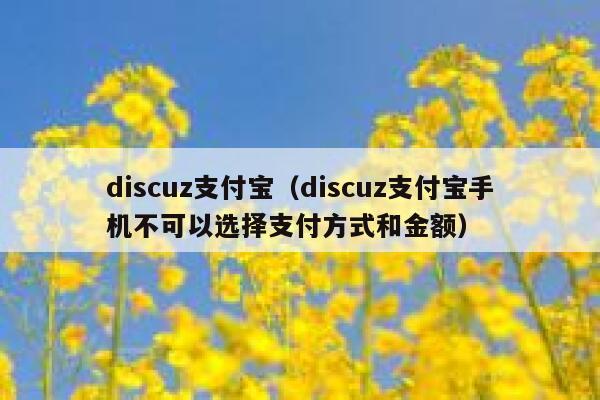 Discuz支付宝，Discuz支付宝手机不可以选择支付方式和金额