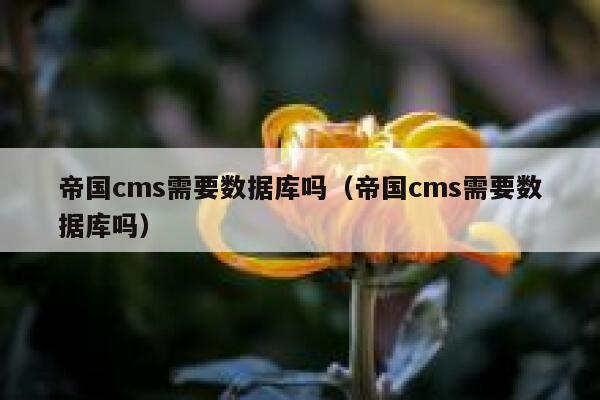 帝国cms需要数据库吗，帝国cms需要数据库吗