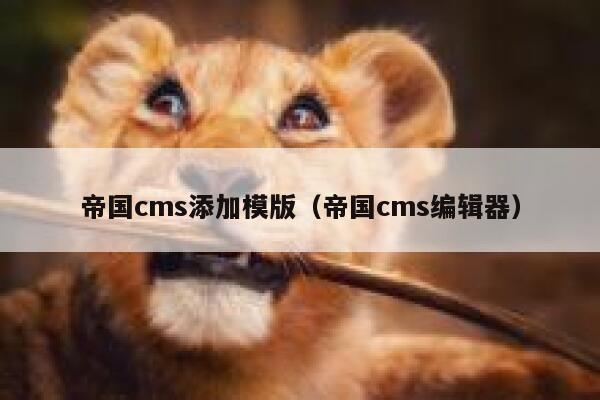 帝国cms添加模版，帝国cms编辑器