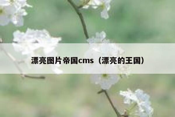 漂亮图片帝国CMS，漂亮的王国