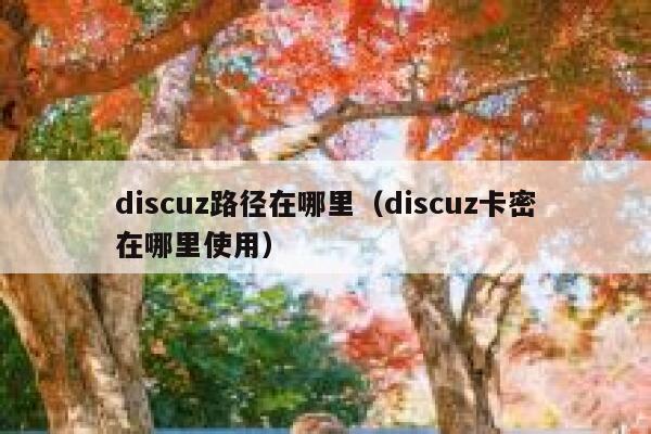 Discuz路径在哪里，Discuz卡密在哪里使用