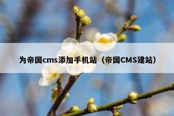 为帝国CMS添加手机站，帝国CMS建站