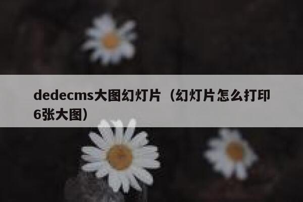 织梦dedecms大图幻灯片，幻灯片怎么打印6张大图