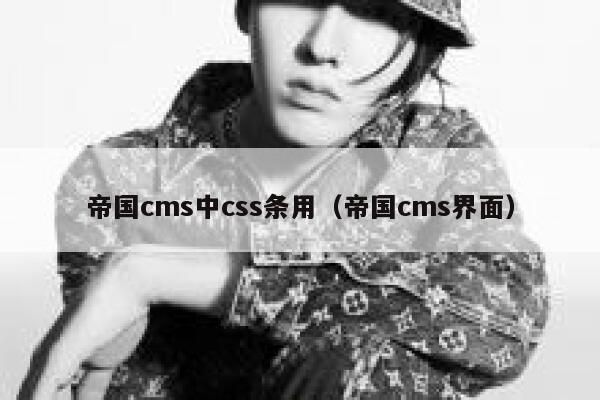 帝国CMS中css条用，帝国CMS界面