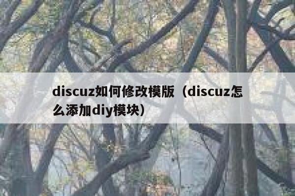 Discuz如何修改模版，Discuz怎么添加diy模块