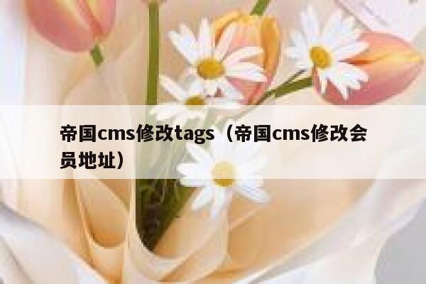 帝国cms修改tags，帝国cms修改会员地址
