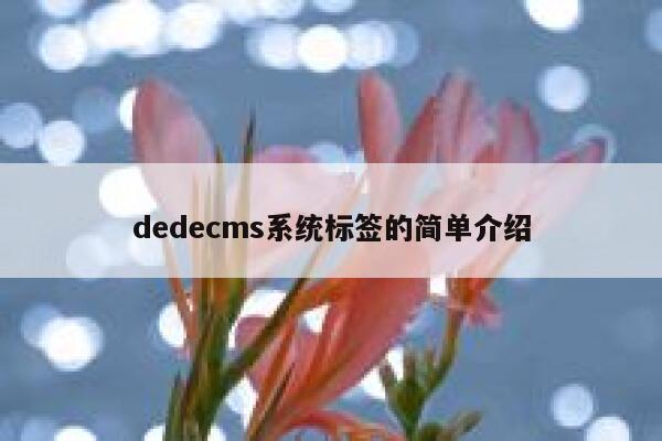 dedecms系统标签的简单介绍 第1张