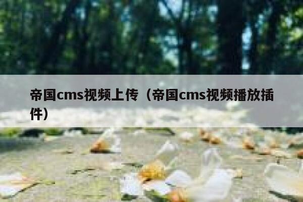 帝国CMS视频上传，帝国CMS视频播放插件