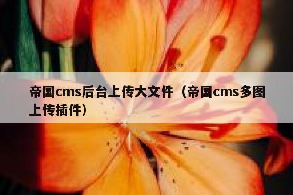 帝国cms后台上传大文件，帝国cms多图上传插件