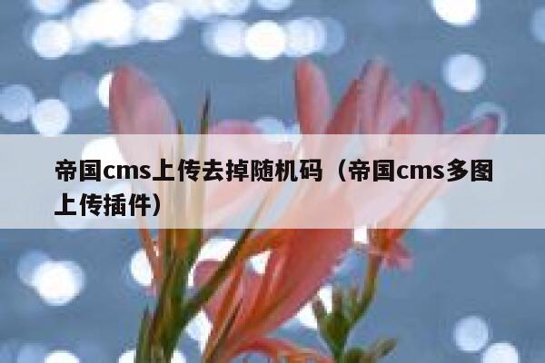帝国cms上传去掉随机码，帝国cms多图上传插件