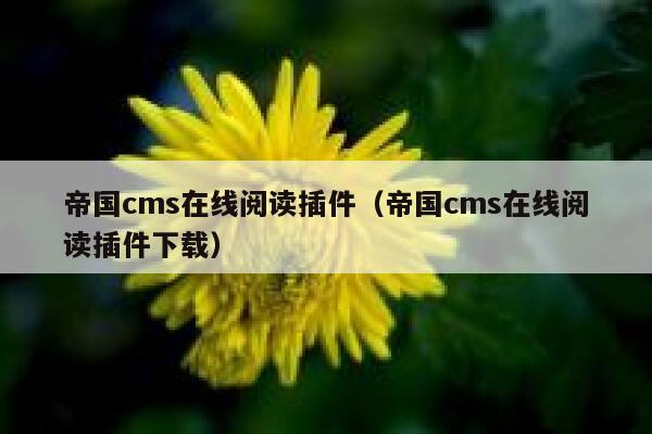 帝国CMS在线阅读插件，帝国CMS在线阅读插件下载