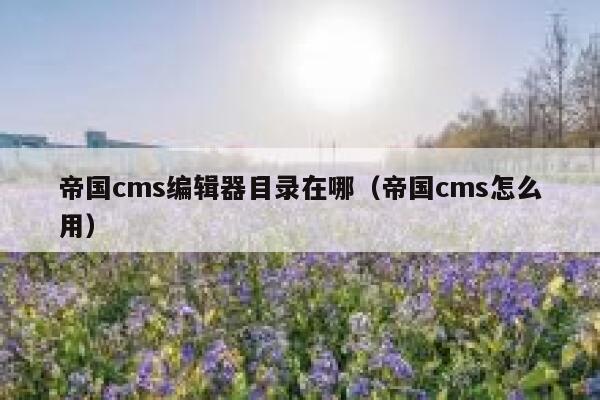 帝国CMS编辑器目录在哪，帝国CMS怎么用