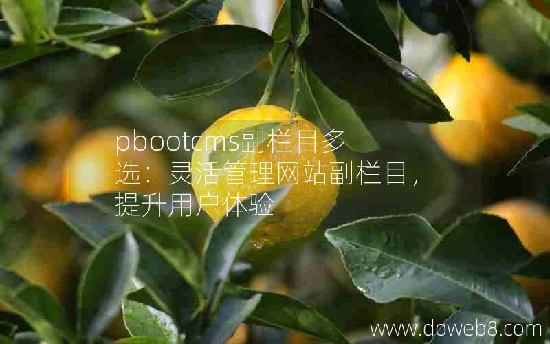 pbootcms副栏目多选：灵活管理网站副栏目，提升用户体验