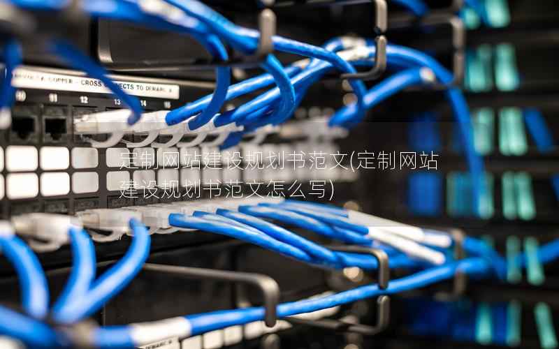 定制网站建设规划书范文，定制网站建设规划书范文怎么写