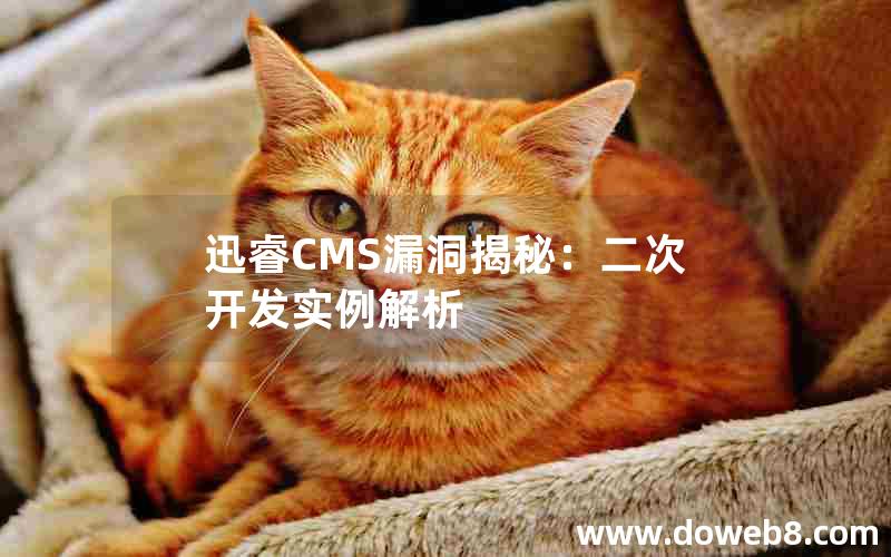 迅睿cms漏洞揭秘：二次开发实例解析