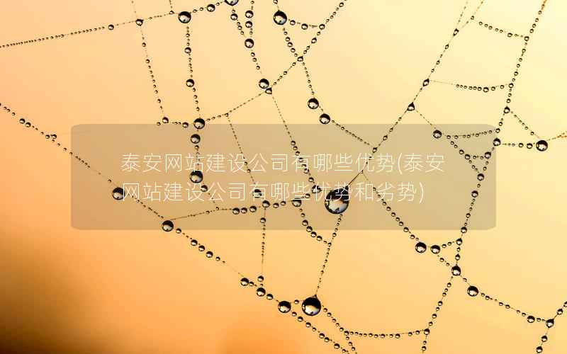 泰安网站建设公司有哪些优势，泰安网站建设公司有哪些优势和劣势