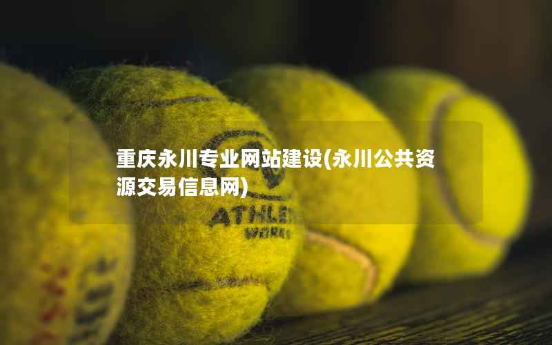 重庆永川专业网站建设，永川公共资源交易