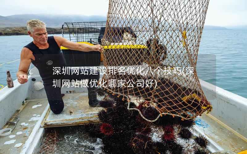 深圳网站建设排名优化八个技巧，深圳网站做优化哪家公司好