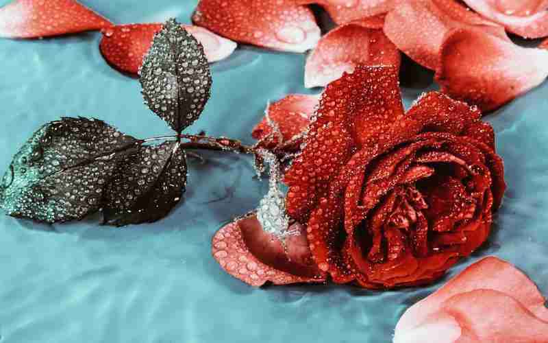 定制网站需要满足网站建设要求 定制网站需要满足网站建设要求