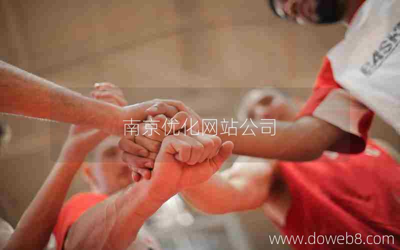 南京优化网站公司