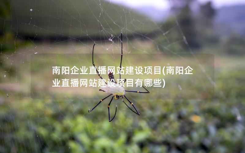 南阳企业直播网站建设项目，南阳企业直播网站建设项目有哪些